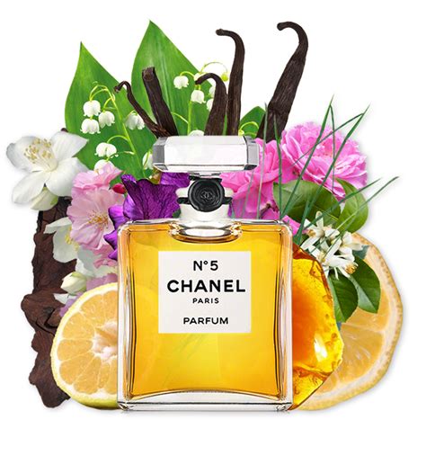 The Mythical Perfume Chanel N ° 5 Perfume And Beauty Magazine