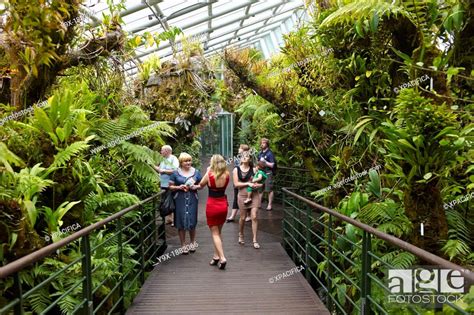 Tourists At Indoor Rainforest Greenhouse In The Singapore Botanical