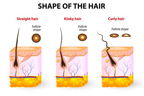 If your hair texture is fine and straight, it's likely you've tried (and, ultimately, failed) to keep curls full and voluminous for an entire day. ingrown hair 2