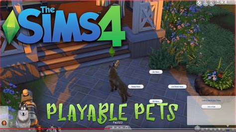 Sims 4 Cats And Dogs How To Control Your Pets Playable Pets Mod Youtube