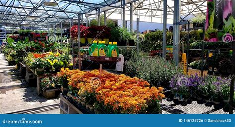 Lowe S Garden Center Editorial Photo Image Of Lowes 146125726