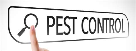 Pests not only physically damage the structures where you work, they also damage your reputation. Housekeeping and Integrated Pest Management (IPM) ~ Triple ...