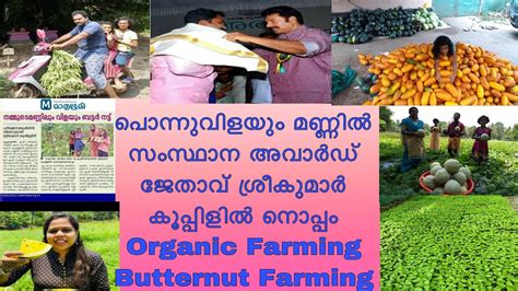 Best Organic Farming In Keralabutternut Farmingvegetable And Fruits