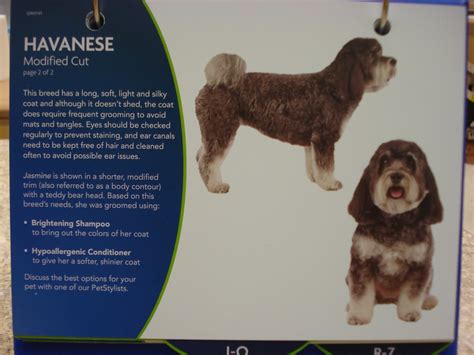 My Favorite Pup Jasmine: Petsmart's Grooming Breed Book! (Featuring