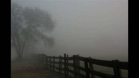 Foggy Morning By Hiyaderred 100 Youtube