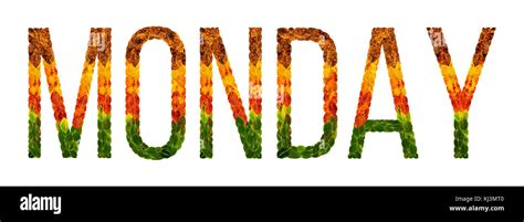Word Monday Written With Leaves White Isolated Background Banner For