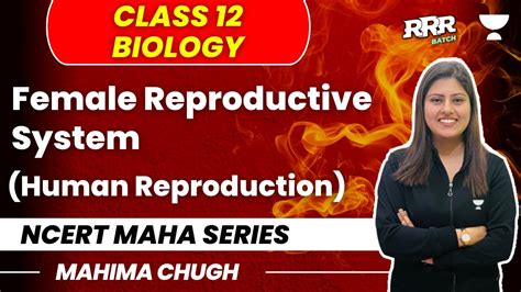 Female Reproductive System Ncert Maha Series Class 12 Biology