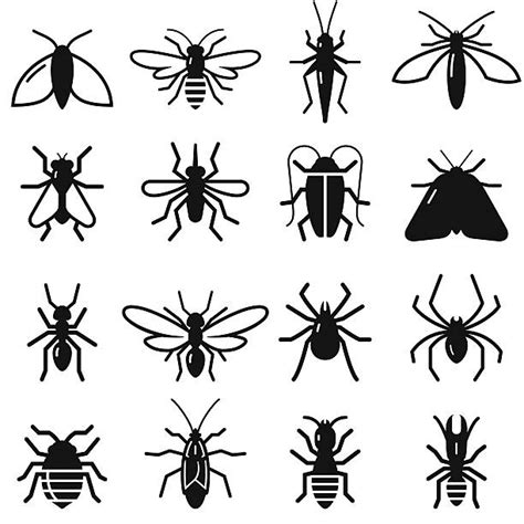 Clipart Insects 20 Free Cliparts Download Images On Clipground 2023