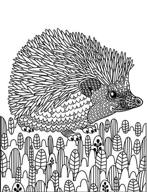 Wild Animals To Color Colorish Free Coloring App For