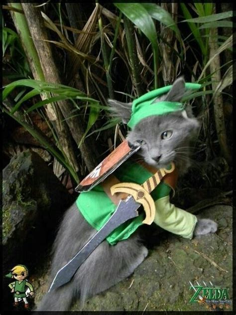 Cat Link The Legend Of Zelda Pinterest