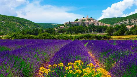 Lavender Field In Provence France Wallpaper For Desktop 1920x1080 Full Hd