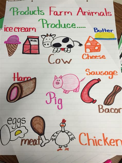 What Farm Animals Produce Anchor Chart Used For My Pre K
