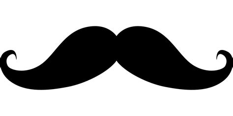 Handlebar Moustache Movember Moustache Png Download 1920960 Free