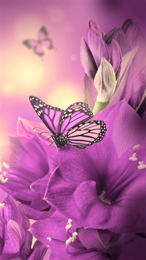 30 Colorful Butterfly Wallpapers Free To Download Godfather Style