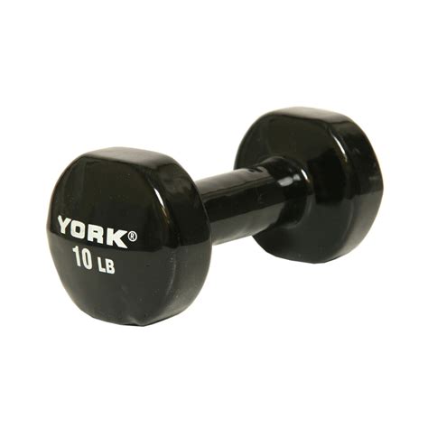 Single 10 Pound Vinyl Dumbbell Weight Sporting Life Online