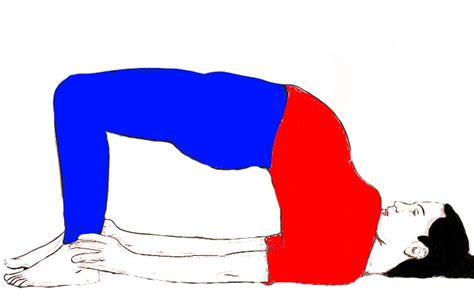 Kandharasana (The Shoulder Pose) - Sarvyoga | yoga