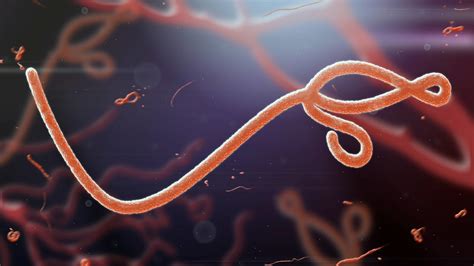 World Health Organization Declines To Declare The Ebola Outbreak An Emergency For The 3rd Time