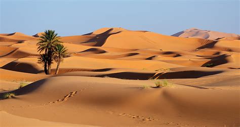 Earth Desert Dune Morocco Nature Sand Hd Wallpaper Peakpx