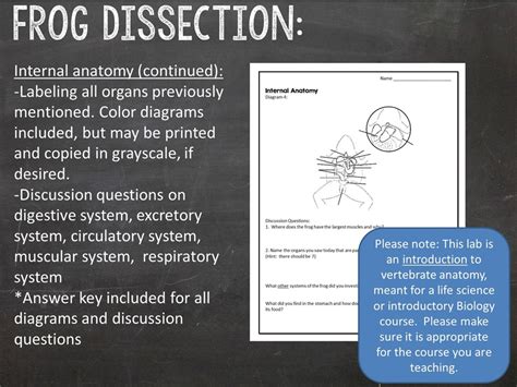 Frog Dissection Lab Suburban Science