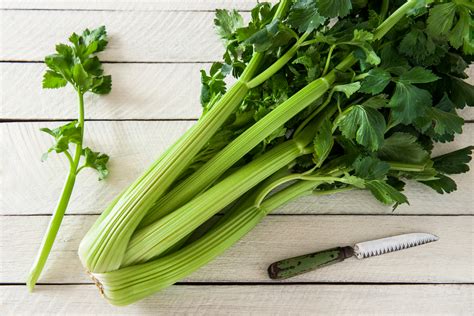 But have you ever wondered if you can regrow this salad. Materia Medica - Celery | Sun Oven® | The Original Solar ...
