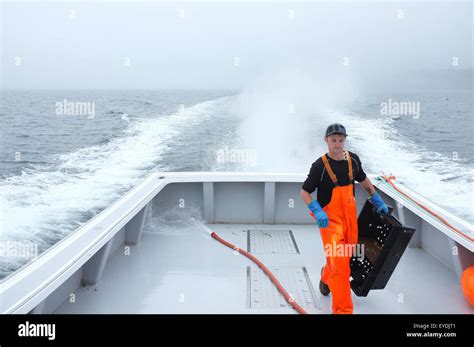 Lobster Fishermen In Cape Breton Nova Scotia Stock Photo Alamy