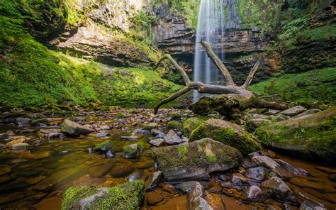 Waterfall Moss Forest Rocks Stones Stream Log Hd Wallpaper Nature And