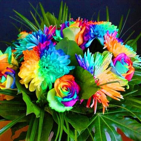 Use an old water bottle with a squeeze cap to mix your tie dye. Hippie Tie Dye Mums - 50 Seeds | Bonsai flower, Rainbow ...