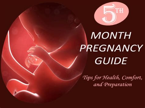 5th Month Pregnancy Guide Tips For Health Comfort And Preparation