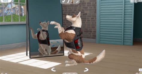 Sims 4 Pets Downloads Sims 4 Updates