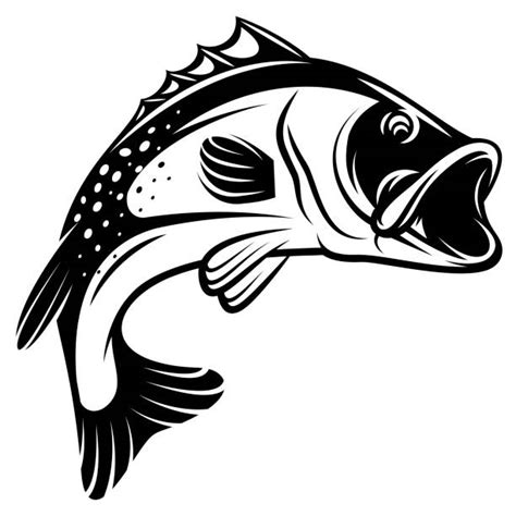Best Cartoon Bass Fish Illustrations Royalty Free Vector Graphics