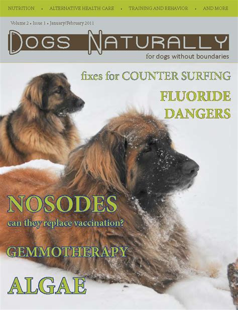 Magazine Dogs Naturally Magazine