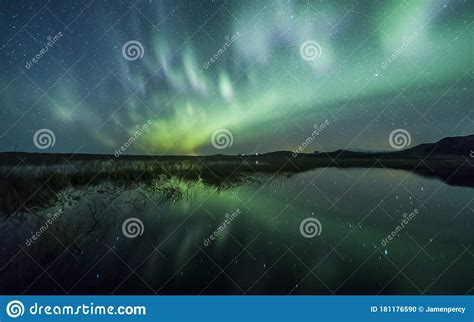 Aurora Borealis Northern Lights Above A Lake With Reeds And Grass