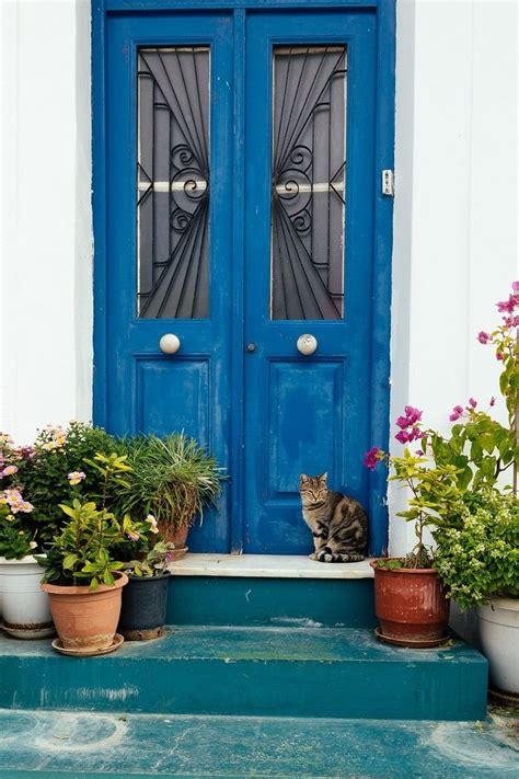 We did not find results for: 16 plantes pour porte d'entrée pour un look sublime ...