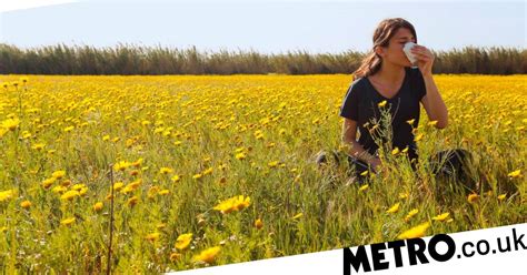 Sex Could Be The Cure For Hayfever According To Scientists Metro News
