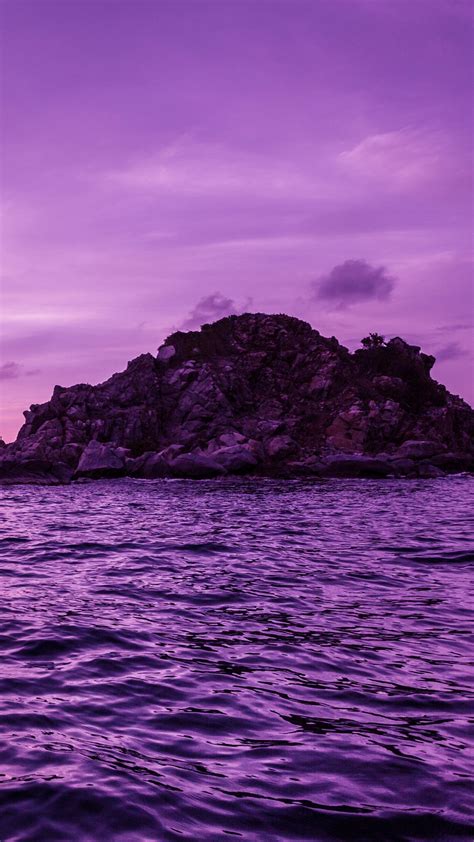 Purple Seascape Backiee