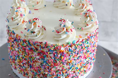 Rainbow Sprinkle Cake Sprinkle Bakes