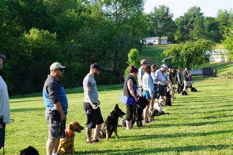Dog Trainer School Holdenmed