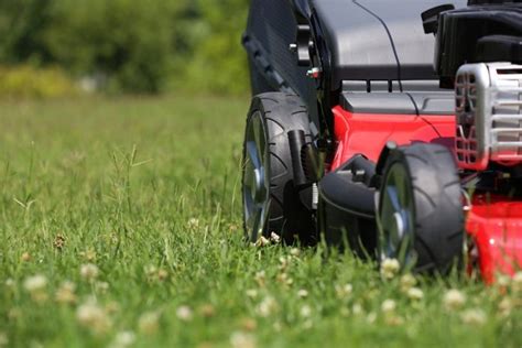 7 Simple Mowing Tips For A Fresh And Beautiful Lawn Tasteful Space