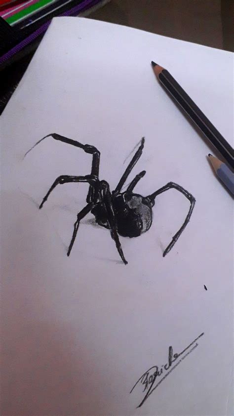 Black widow spider line drawing. Spider 3D drawing in 2020 | Black widow spider, Spider drawing, Spider art