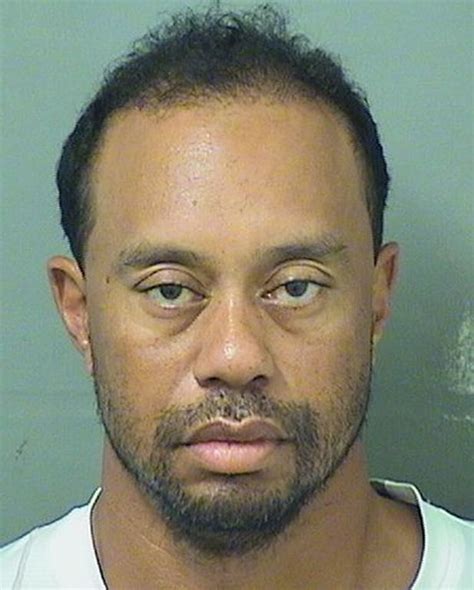 Tiger Woods Johnsonbodhi
