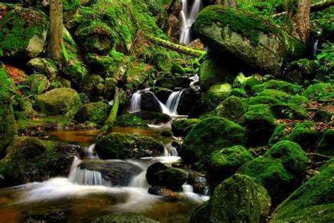 Nature Landscapes Waterfalls Trees Forest Moss Rocks Stream Rivers