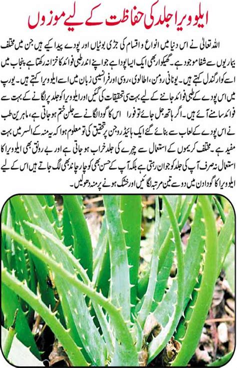 Pagesotherbrandhealth/beautybeauty and health tips in urduvideoshand whitening tips. desi totkay for skin in urdu skin beauty tips | Latest ...