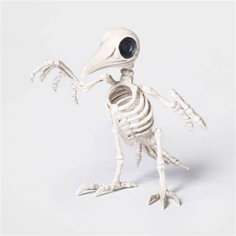 Halloween Raven Skeleton Decorative Halloween Prop Large Hyde And Eek