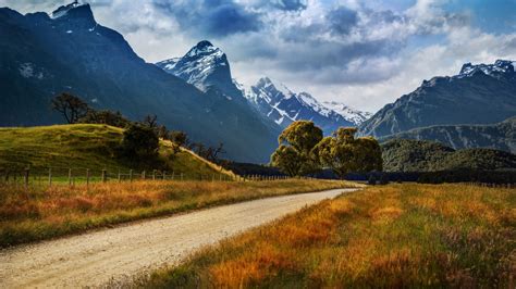 Landscape Of New Zealand Country Road Yellowed Grass
