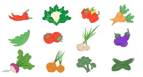 Premium Vector Hand Drawn Vegetable Collection