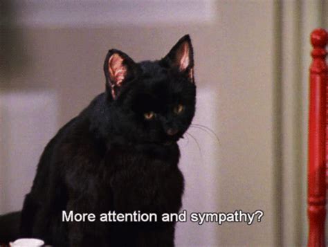 Pin For Later 39 Salem Saberhagen Quotes You Should Start Using