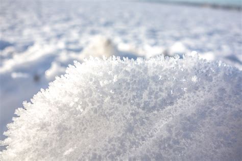 Fotos Gratis Frío Invierno Blanco Escarcha Hielo Clima Nevado