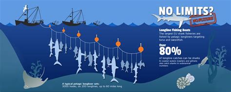 The Largest Eu Shark Fisheries Are Fished By Pelagic Longliners