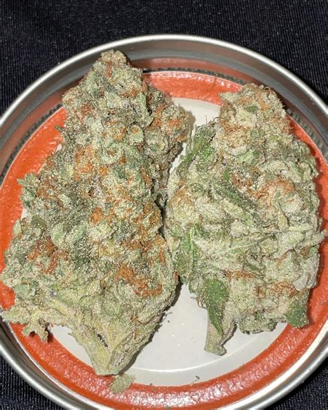 Strain Review Grandpa S Stash By Stoner Girl Grows The Highest Critic
