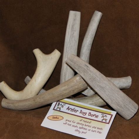 Small Antler Dog Chew Bones Set Of 3 Natural Dog Bones